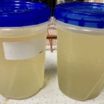 dashi stock in 2 quart containers